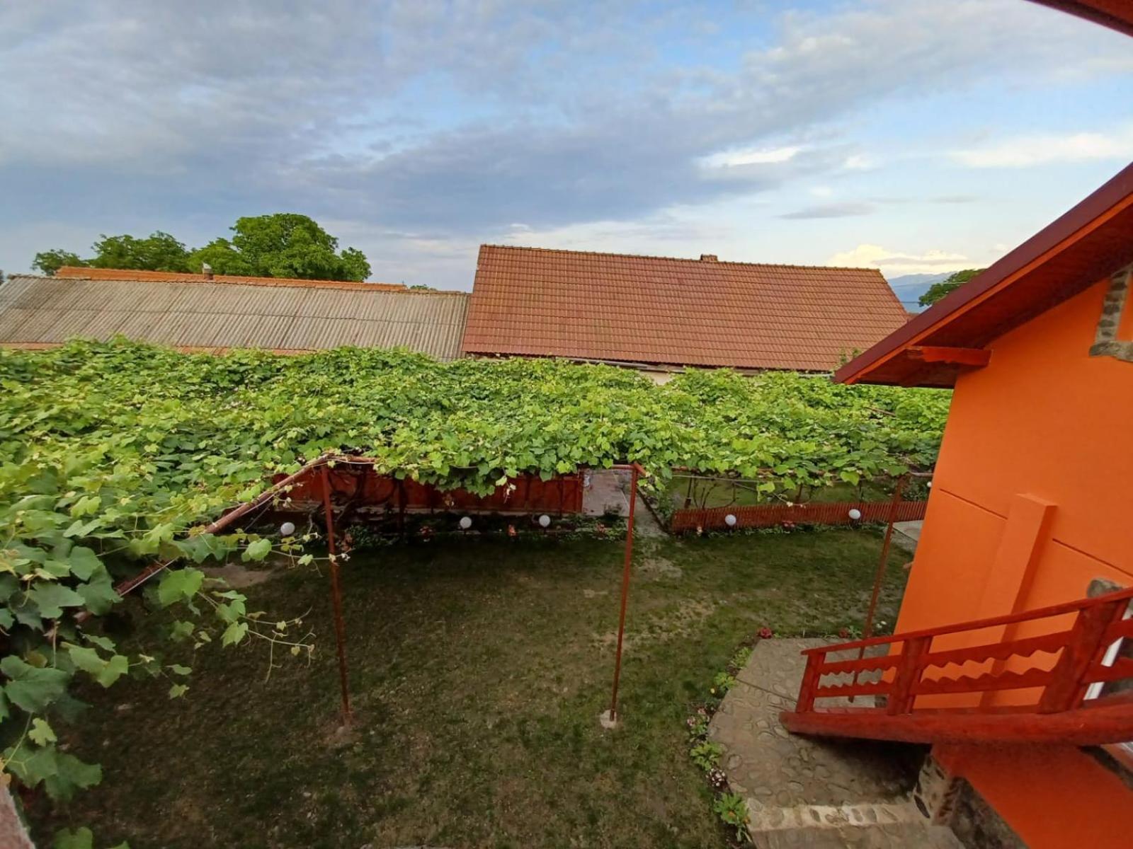 Casa Alex Hotell Cîrţişoara Exteriör bild